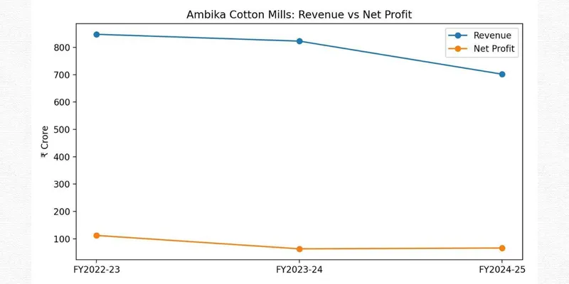 AMBIKA COTTON MILLS LTD FINANCIAL AND BUSINESS ANALYSIS REPORT